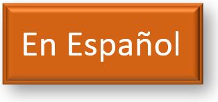 Spanish button.JPG